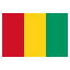 bandera de Guinea